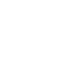 ce logo Troy