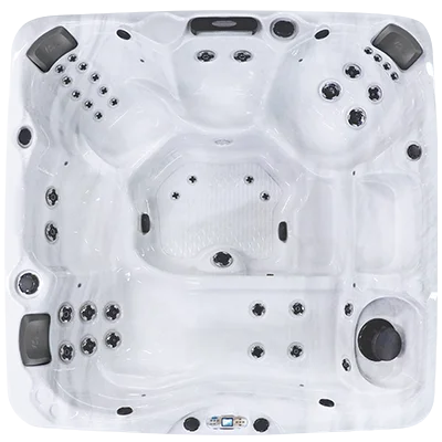 Avalon EC-840L hot tubs for sale in Troy