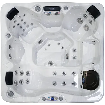 Avalon EC-849L hot tubs for sale in Troy