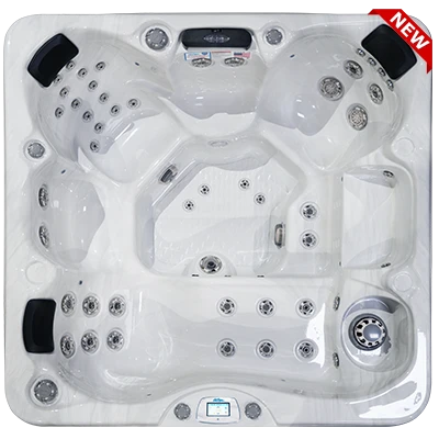 Avalon-X EC-849LX hot tubs for sale in Troy