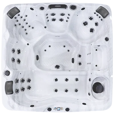 Avalon EC-867L hot tubs for sale in Troy