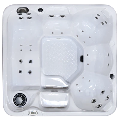 Hawaiian PZ-636L hot tubs for sale in Troy